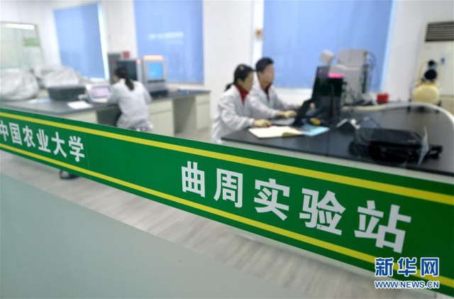 （新華全媒頭條·愛國情 奮斗者·圖文互動）（10）把論文寫在祖國的大地上——中國農業(yè)大學46年扎根河北曲周服務鄉(xiāng)村振興紀實