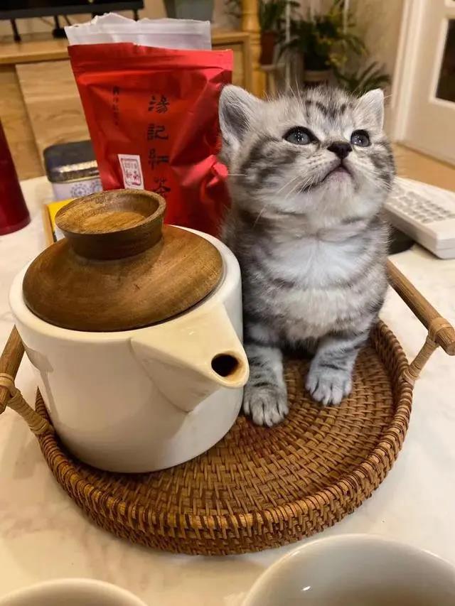 微信圖片_20200302200532.jpg
