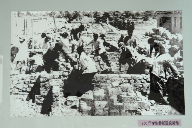 1960年石河子農(nóng)學院學生參加建校勞動.JPG
